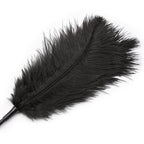 Black Ostrich feather tickler teaser 46 cm - image 9