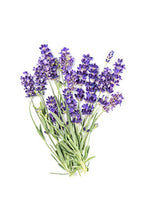 Jo Sensual Massage Glide Lavender 30ml - image 3