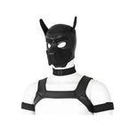 Black Neoprene Bondage Puppy collar O/S - image 3