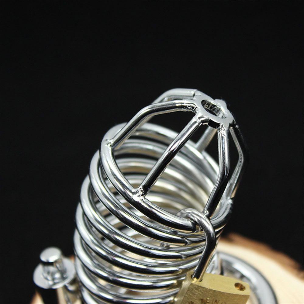 Stainless Steel Chastity Penis Cage M-L - image 5