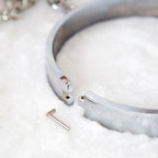 Metal Neck Collar with Clover Black Nipple Clamps 14cm - image 4