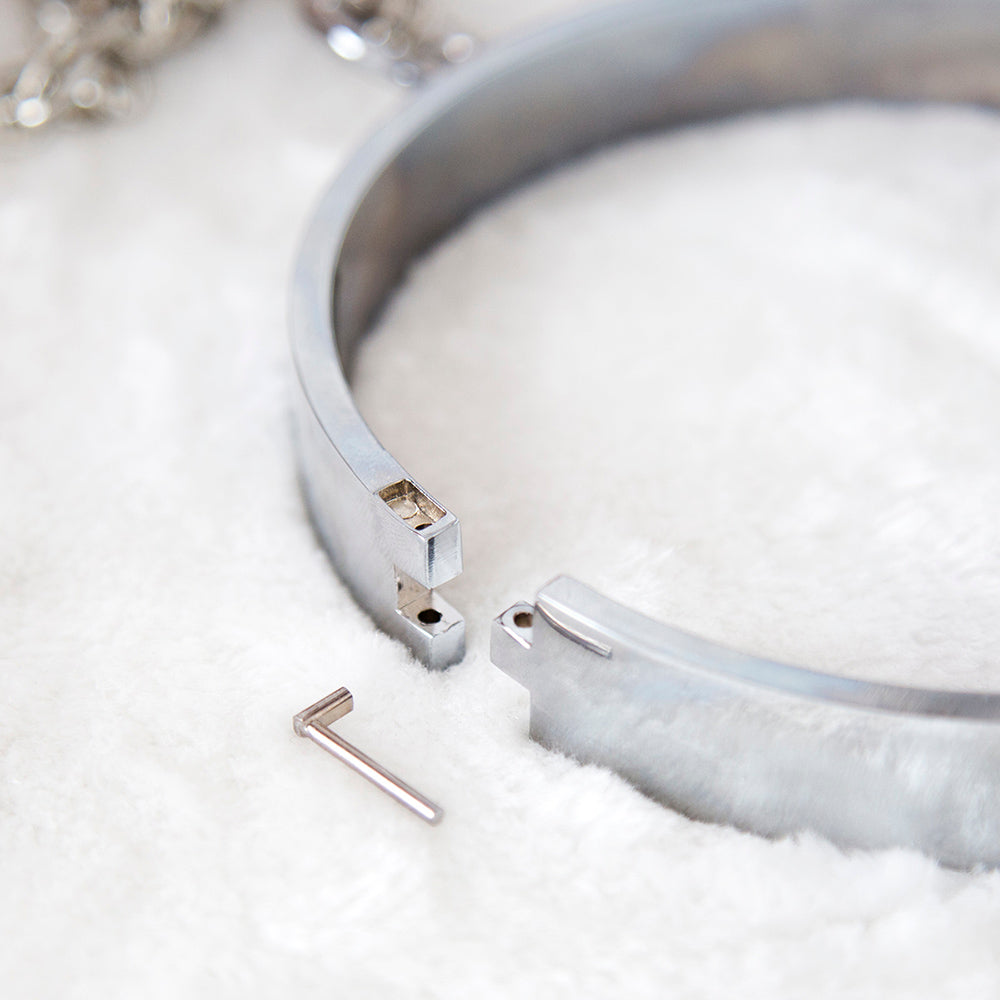 Metal Neck Collar with Clover Black Nipple Clamps 14cm - image 4