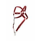 DNGEON Cross Cockring Harness O/S RED