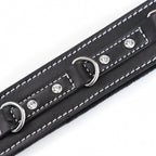 NAUGHTY TOYS Black leather Collar with gems and metal Leash - image 6