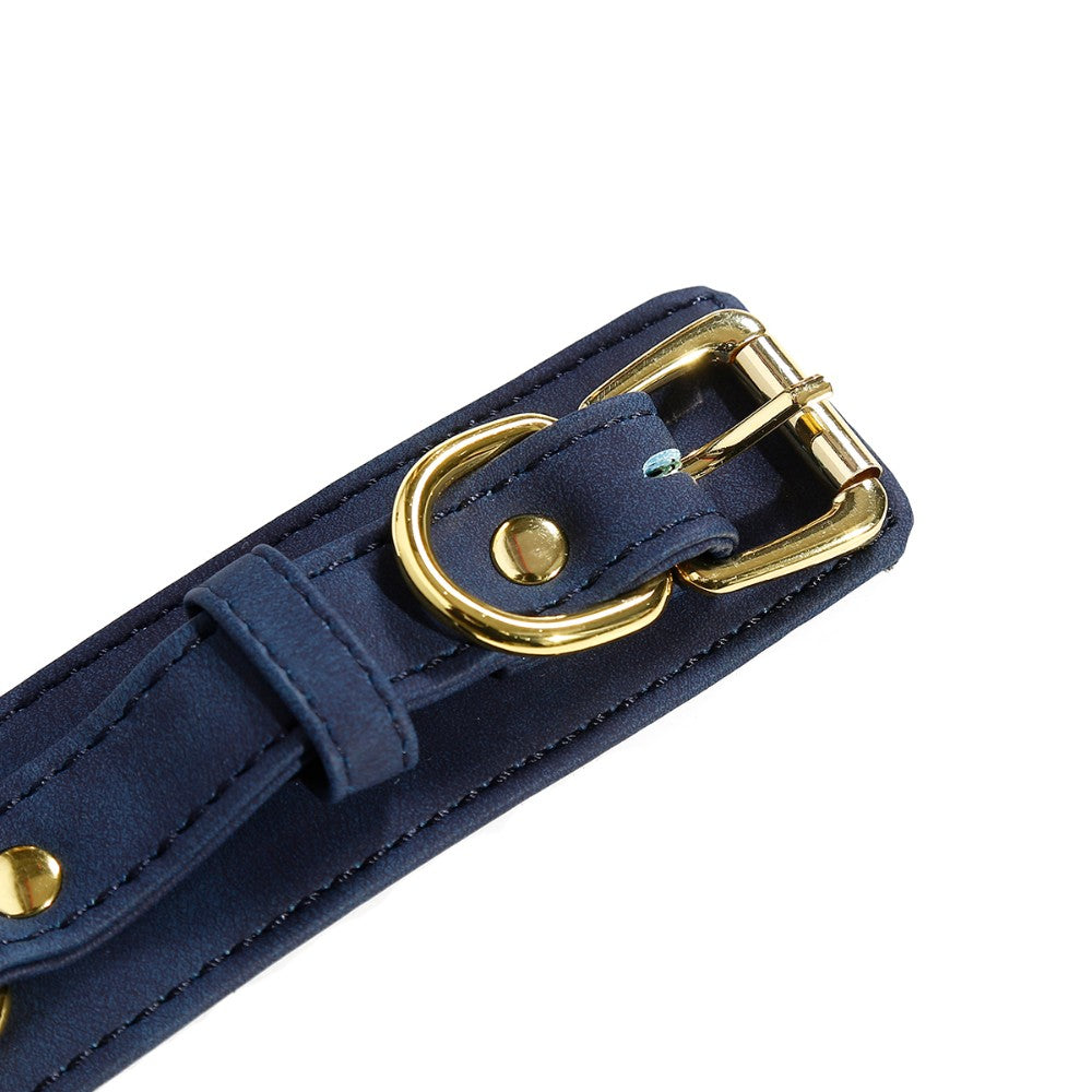 NAUGHTY TOYS BLUE GOLD leather corset cuffs restraints 2pcs set - image 4