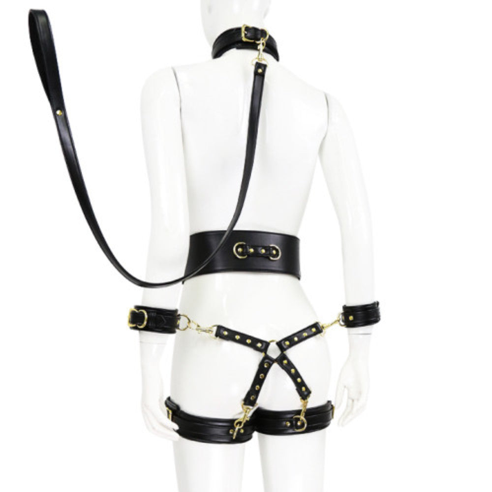 Premium Fetish Collection complete 6 piece set Black-Gold - image 7