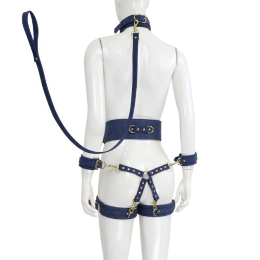 Premium Fetish Collection complete 6 piece set Tibet Blue-Gold - image 2