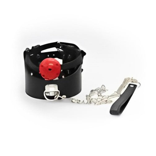 NAUGHTY TOYS Posture Collar and Ball Gag