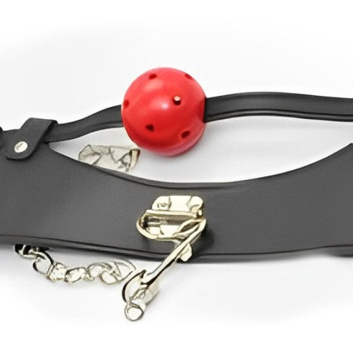 NAUGHTY TOYS Posture Collar and Ball Gag - image 3