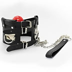 NAUGHTY TOYS Posture Collar and Ball Gag - image 4