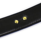 NAUGHTY TOYS Premium Collection Ankle Restraints GOLD BLUE - image 7