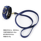 NAUGHTY TOYS fetish light blue leather collar with leash - image 6