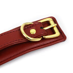 NAUGHTY TOYS wine red with Gold snap-hook leather Ankle cuffs - image 4