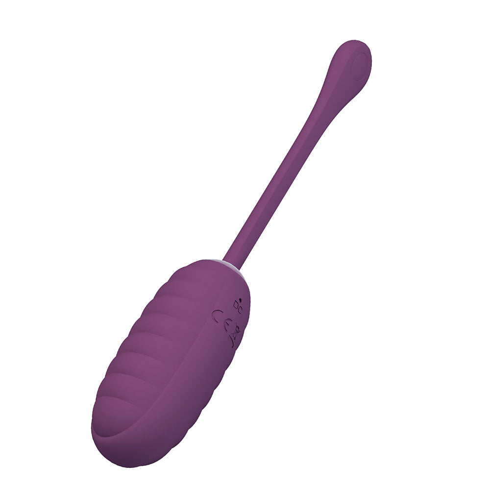 Pretty Love CASPER App Controlled Egg Vibrator PURPLE