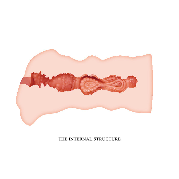 CRAZY BULL Leila ρεαλιστικό ανδρικό παιχνίδι αυνανισμού 13.5 εκ - image 5