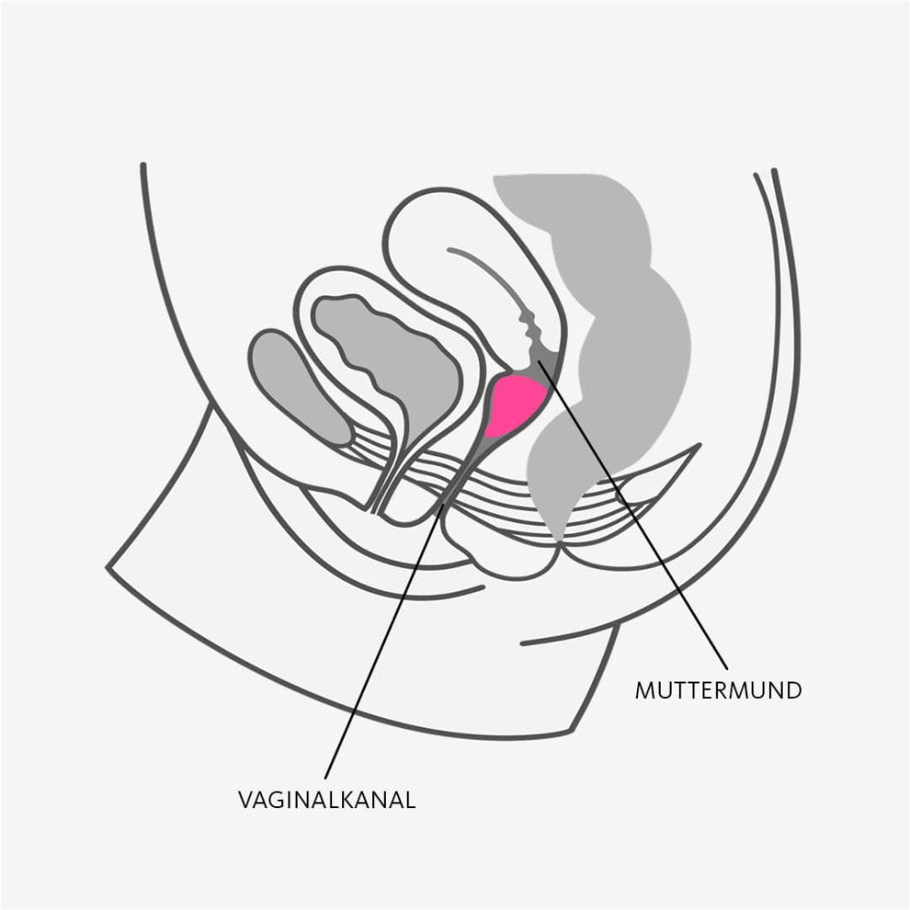 Fun Factory Menstrual Cup Size A