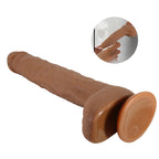 Beautiful Dick Realistic Dildo with Suction 28 x 4.2 cm - image 2