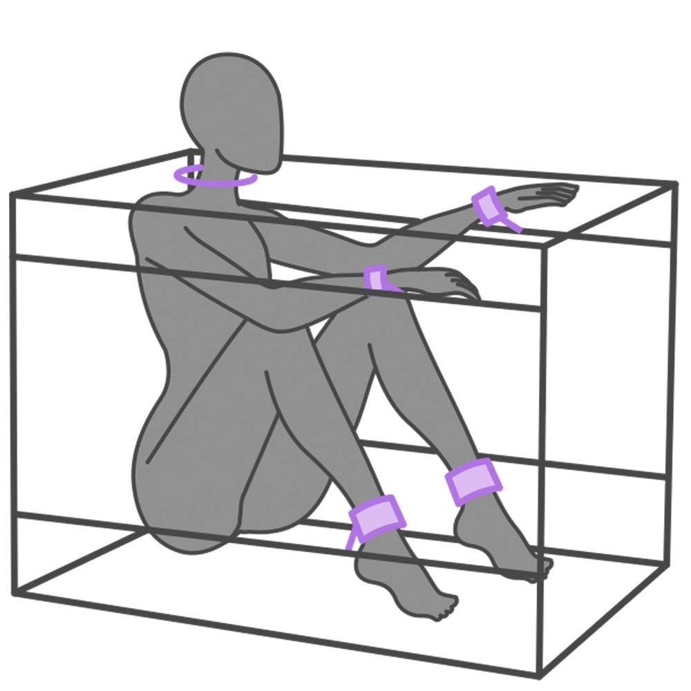 Secret Dome La Niche Closed BDSM Box Purple - image 4