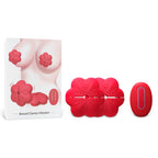 TOYBOX Remote controlled vibrating nipple clamps - image 3