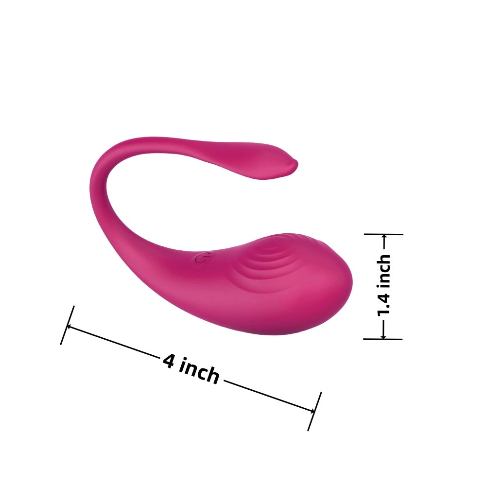 TOYBOX Secret Pleasure App controlled Egg vibrator