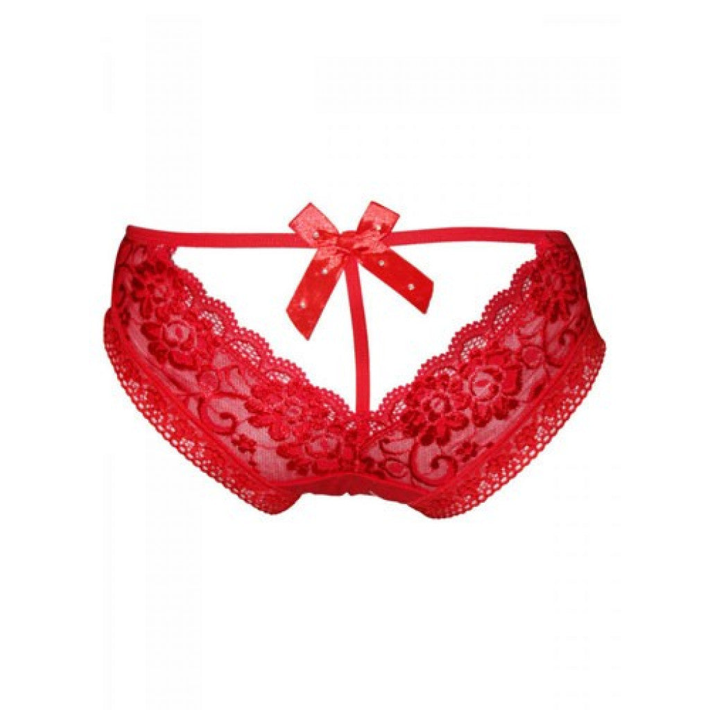 Erotic Lace Panty - image 4