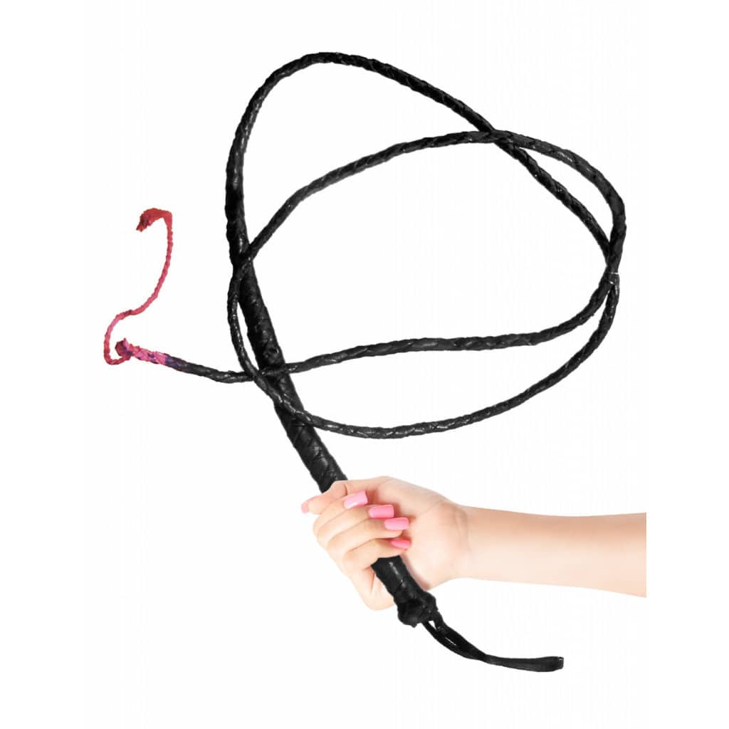 Fetish Fantasy Black 6 feet Whip