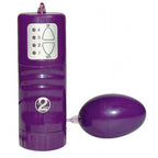 Purple 9 Pieces Vibrator Set