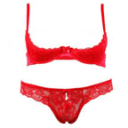 Erotic Satin Lace Red Bra Set