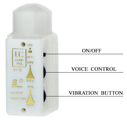 Mr. Big Your Personal Lover 21 cm - image 5